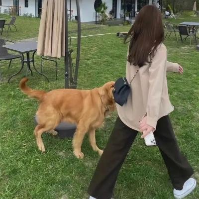 父子泪